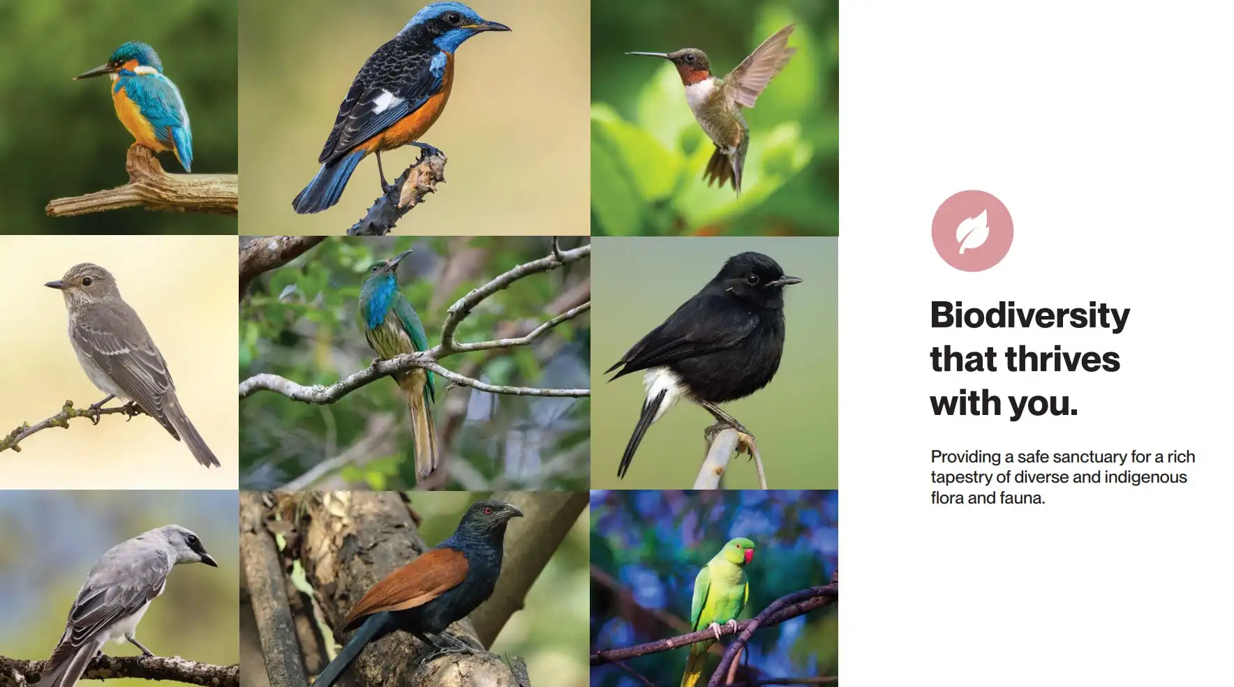 Biodiversity